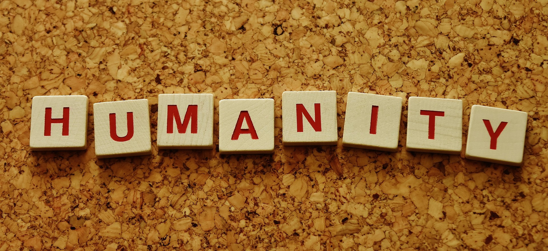 Letters on corkboard spelling out 'humanity.'
