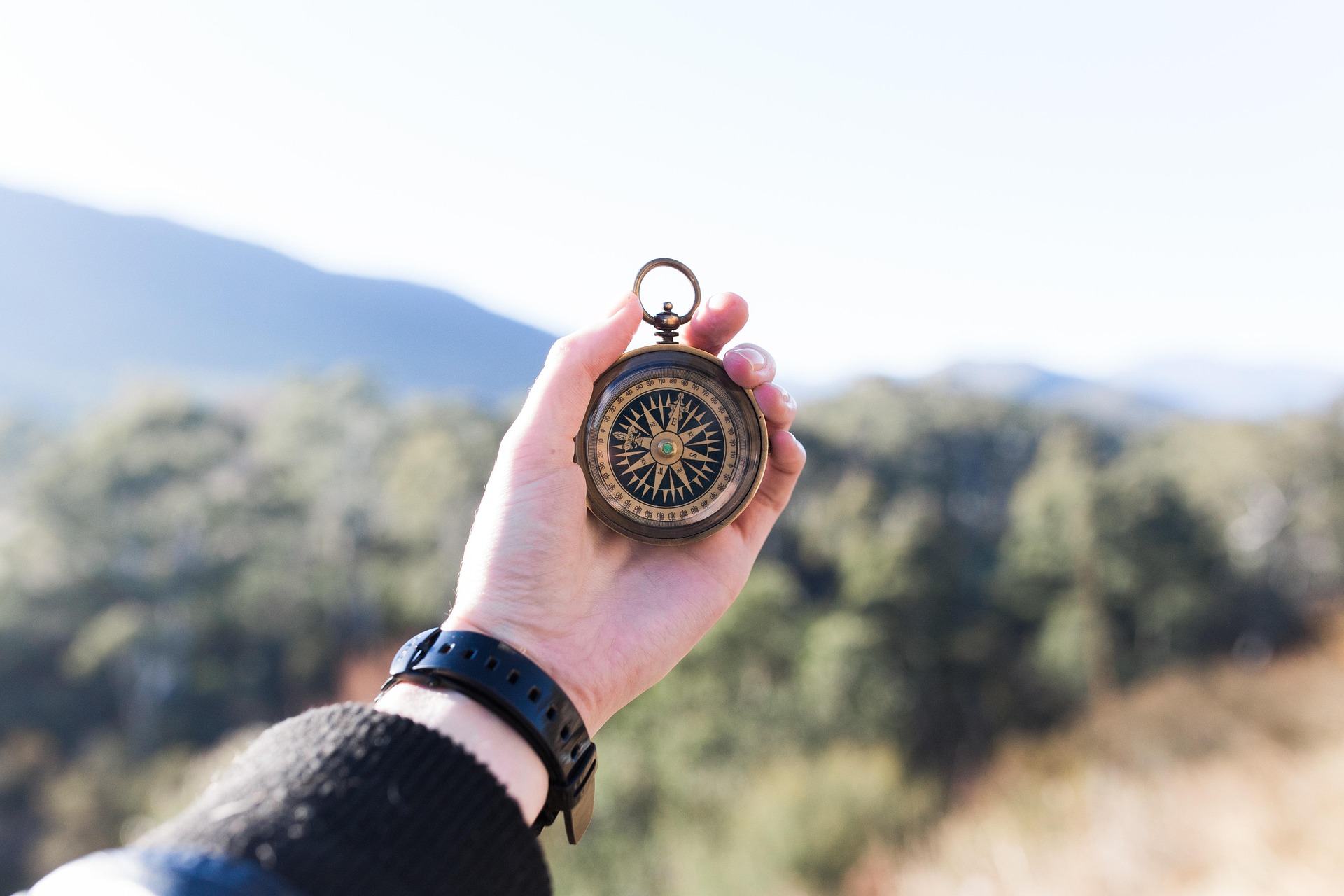 A hand holding up a compass.