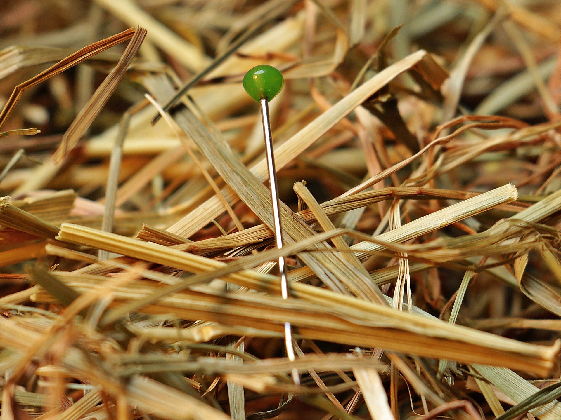 A needle in a literal haystack!