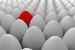 Rows of same-looking white eggs with one red egg standing out from the crowd.