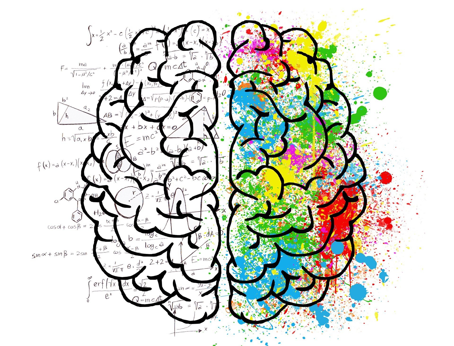 A sketch of a human brain showing the left analytical side with math equations and the right creative colorful side.